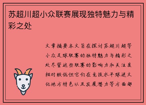 苏超川超小众联赛展现独特魅力与精彩之处